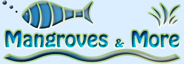 Mangroves and More
