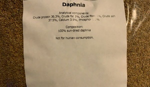 Freeze Dried Daphnia 50 Grams Fish Food Water Fleas