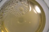 Algae Fertiliser Phytoplankton Micro Macro f/2 250ml