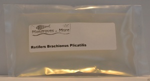 Live Rotifers Brachionus Plicatilis 100ml