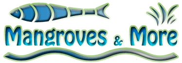 Mangroves and More